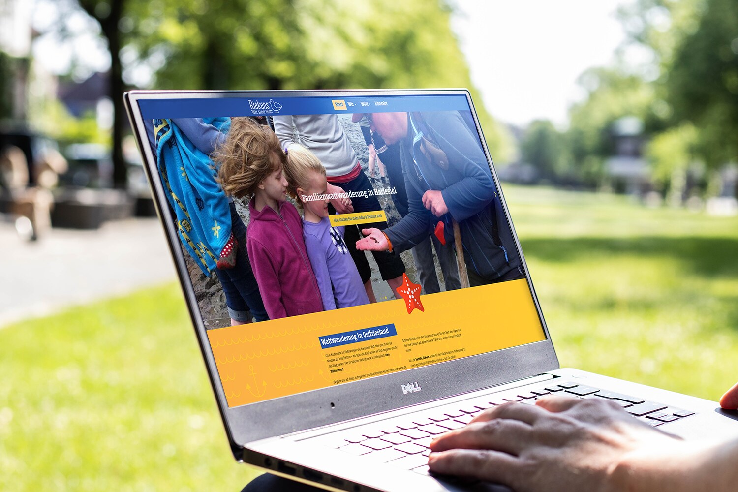 Die neu gestaltete Website wirsindwatt.de mit Seehund-Logo, blau-gelbem Küstendesign und Tourenübersicht auf einem Laptop