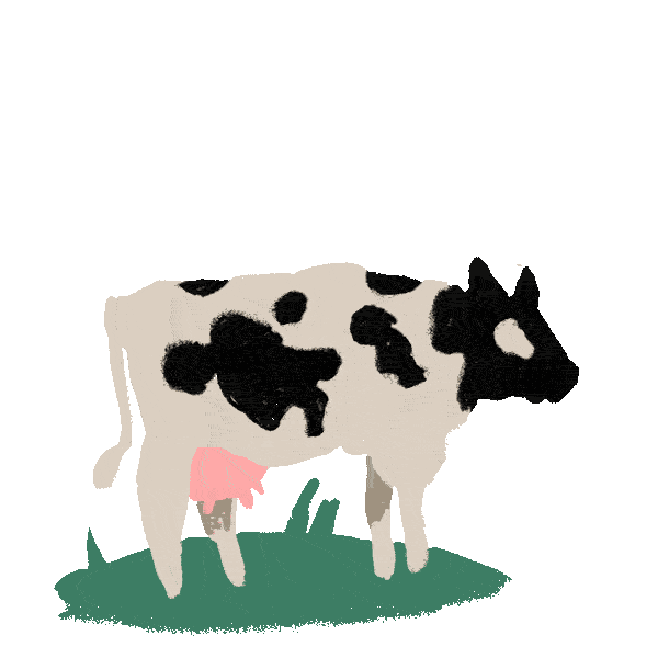 Man sieht eine digitale Ostfriesische Kuh, deren Flecken sich in das M01N Logo verwandeln