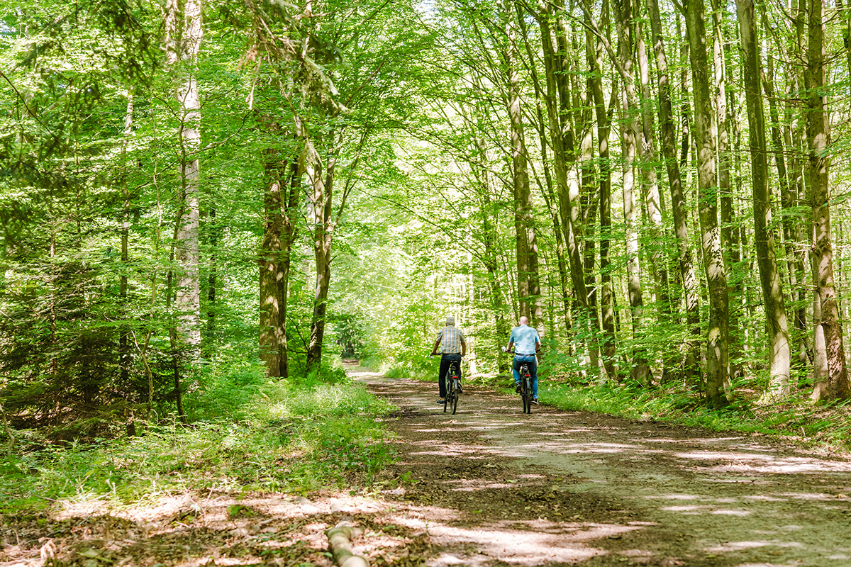 Mehrtägige Fototour mit Radfahrenden im Ihlower Forst