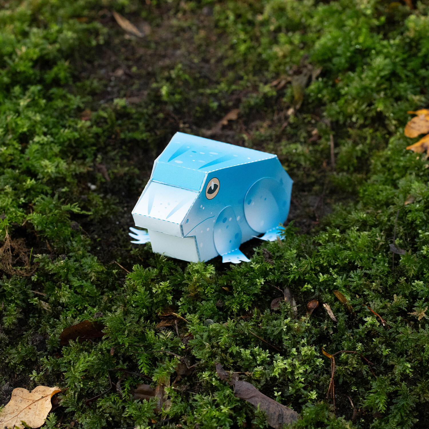 Gefalteter 3D-Bastelbogen des blauen Moorfroschs im Bundesprogramm Vielfalt in Geest und Moor